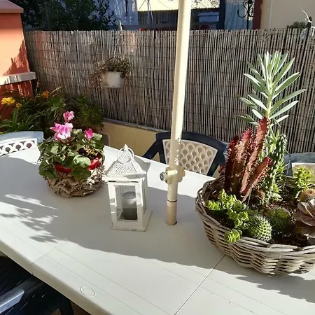 Melon's House